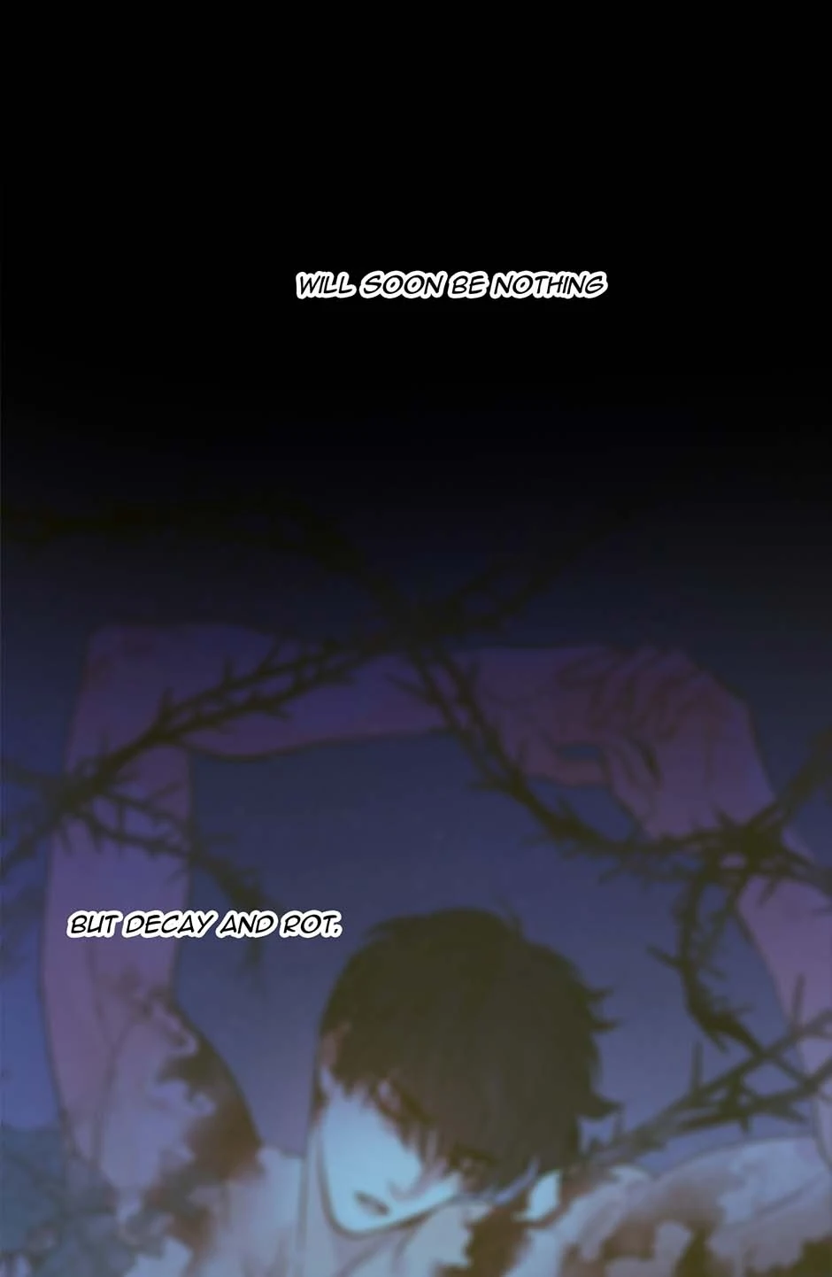 75380436 940 1442 41984